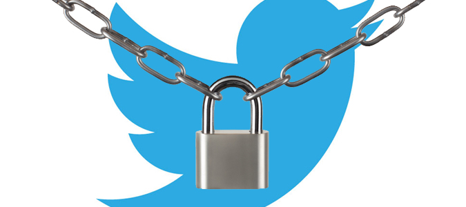 Read more about the article Twitter Privacy