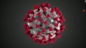 Read more about the article Coronavirus and you