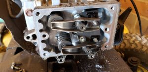 Read more about the article Lawnmower Dilemma